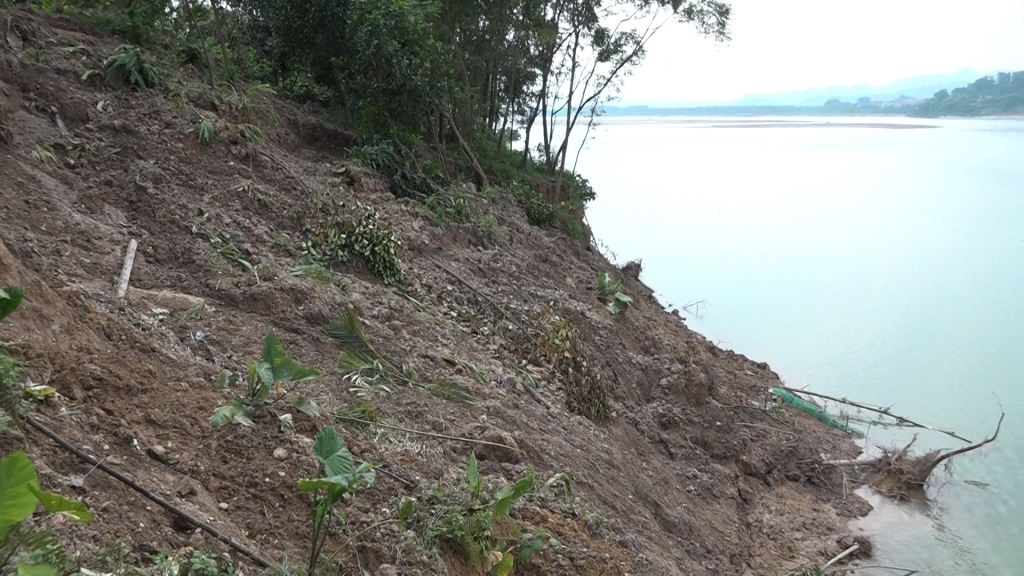 Hàng chục hộ dân huyện Ba Vì sống trong nguy hiểm, sợ hãi vì sạt lở đê sông