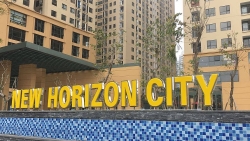 Hà Nội: Kiểm tra giải quyết kiến nghị của Ban Quản trị nhà chung cư New Horizon City