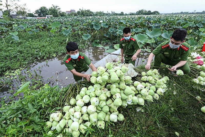 Hy sinh thầm lặng cho mùa Xuân trọn vẹn