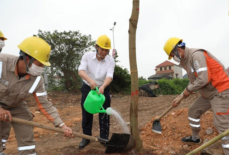 Ông Lê Văn Trang – Phó tổng Giám đốc tham gia trồng cây cùng CBCNV PC Vĩnh Phúc