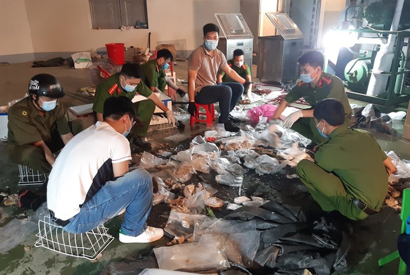 Cảnh sát khám xét kho hàng ở Thường Tín, Hà Nội, phát hiện số lượng lớn ma tuý tổng hợp trong dạ dầy lợn