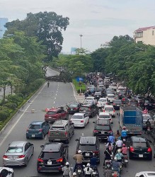 Hà Nội: Cành Đa cổ thụ đổ xuống đường Võ Chí Công lúc rạng sáng gây ùn tắc giao thông