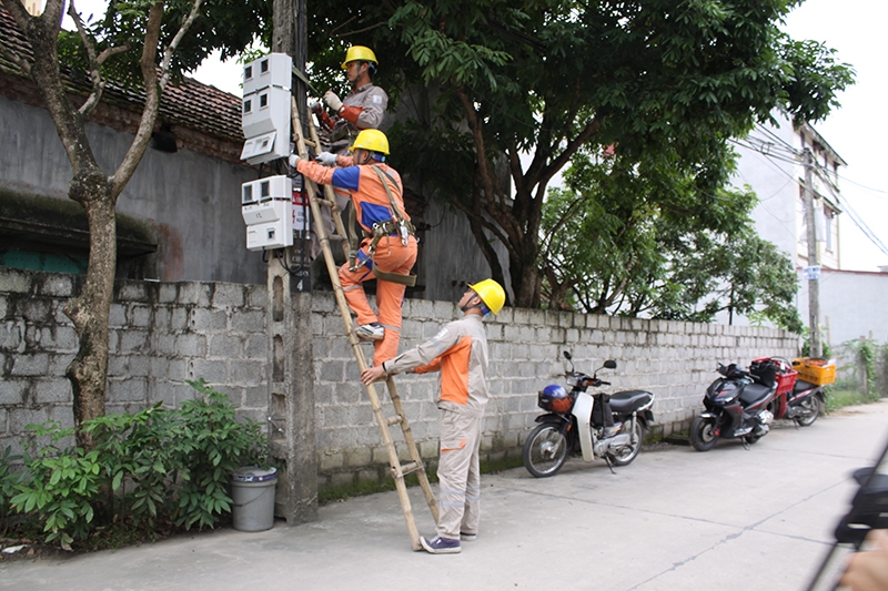 Công nhân Điện lực thành phố Hưng Yên cải tạo, sữa chữa lưới điện