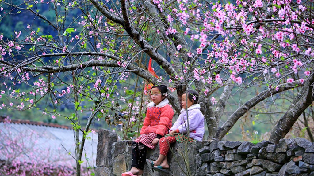 Tết này, liệu có nên về? Tết này, liệu có nên về?