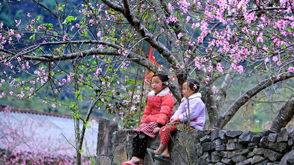 Tết này, liệu có nên về?