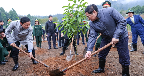 Thủ tướng dâng hương tưởng nhớ Chủ tịch Hồ Chí Minh và phát động Tết trồng cây Xuân Quý Mão