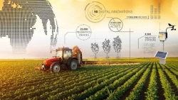 Ngành nông nghiệp và xu hướng ứng dụng công nghệ cao
