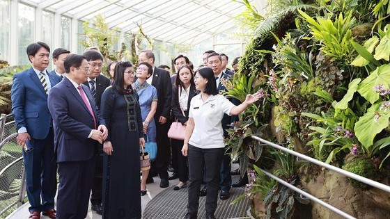 Singapore định danh loài lan mới theo tên Thủ tướng Phạm Minh Chính và Phu nhân