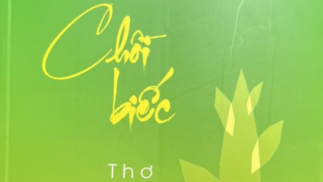 Nhen từng chồi biếc xanh lên cuộc đời