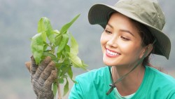Hoa hậu H’Hen Niê tham gia trồng rừng hưởng ứng Ngày Trái đất