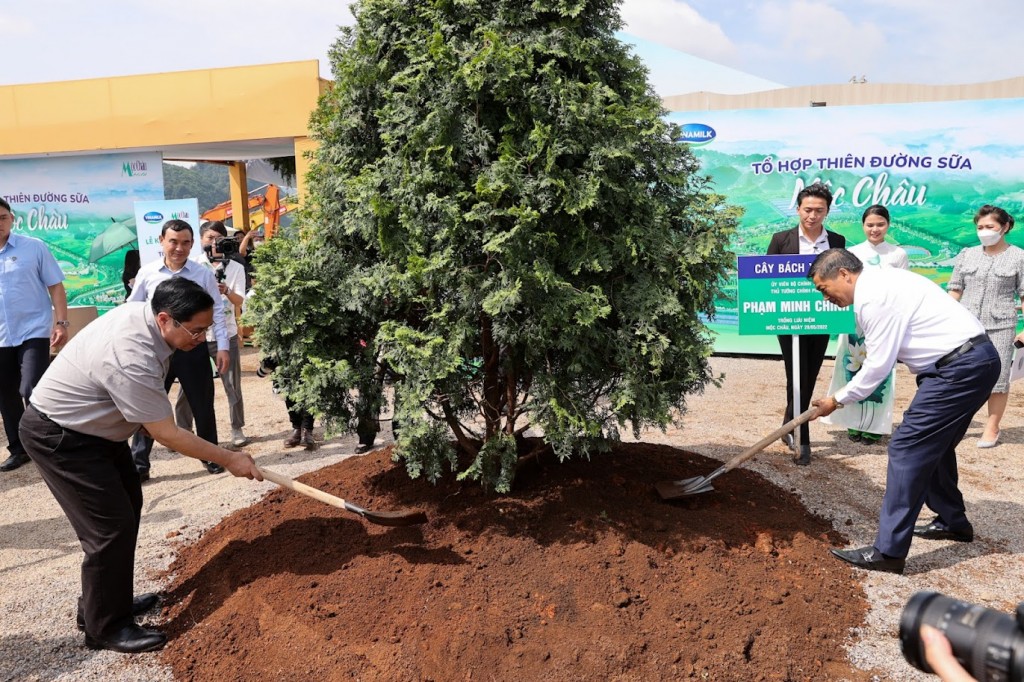 Thủ tướng bấm nút khởi công dự án "Tổ hợp Thiên đường sữa Mộc Châu" vốn đầu tư 3.150 tỷ đồng