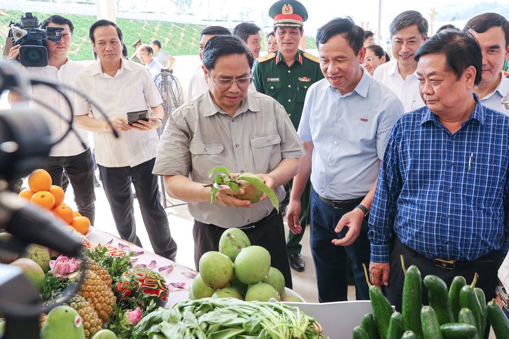 Thủ tướng bấm nút khởi công dự án "Tổ hợp Thiên đường sữa Mộc Châu" vốn đầu tư 3.150 tỷ đồng