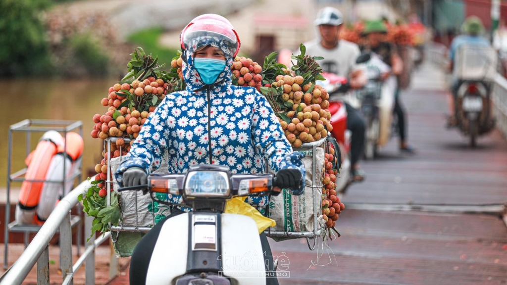 Bài 4: “Đường dài” cho quả vải Bắc Giang