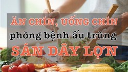 Ăn chín, uống chín phòng bệnh ấu trùng sán dây lợn