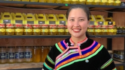 Chân dung nữ doanh nhân trở thành nguồn động lực kinh doanh tại Việt Nam