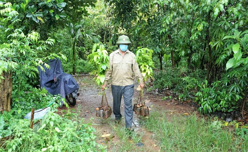 Người dân địa phương vận chuyển cây giống đến điểm trồng rừng