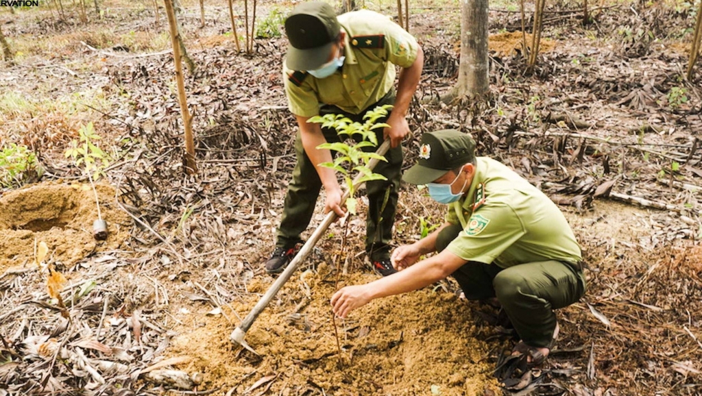 Các cán bộ Kiểm lâm thuộc Khu Bảo tồn Thiên nhiên Văn hóa Đồng Nai đang cùng trồng rừng