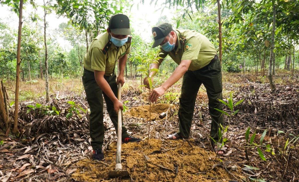 Mối liên hệ giữa sức khỏe con người và thiên nhiên trong đại dịch