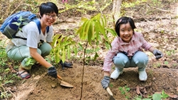 Mối liên hệ giữa sức khỏe con người và thiên nhiên trong đại dịch