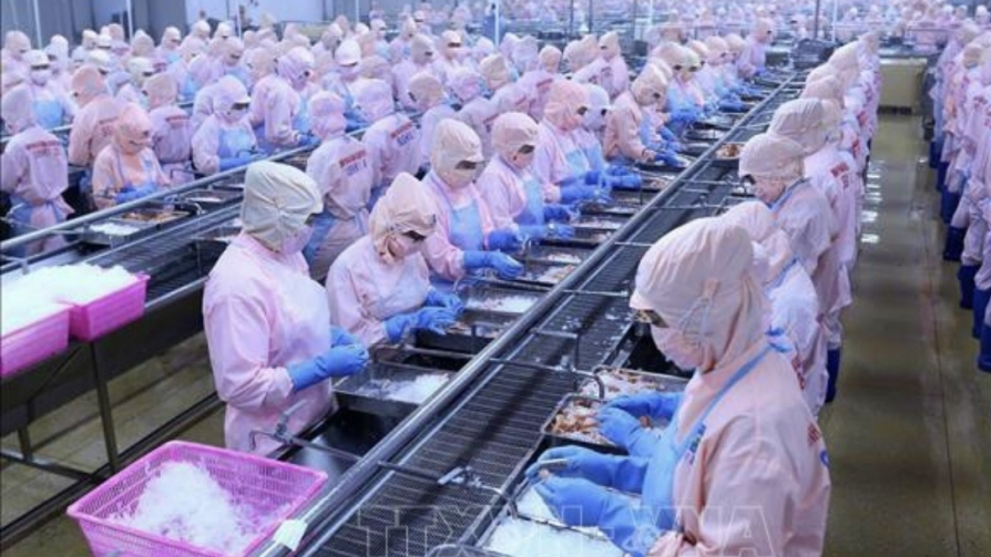 Tập đoàn Thủy sản Minh Phú thực hiện “7 Xanh” xử lý nhanh khi có F0