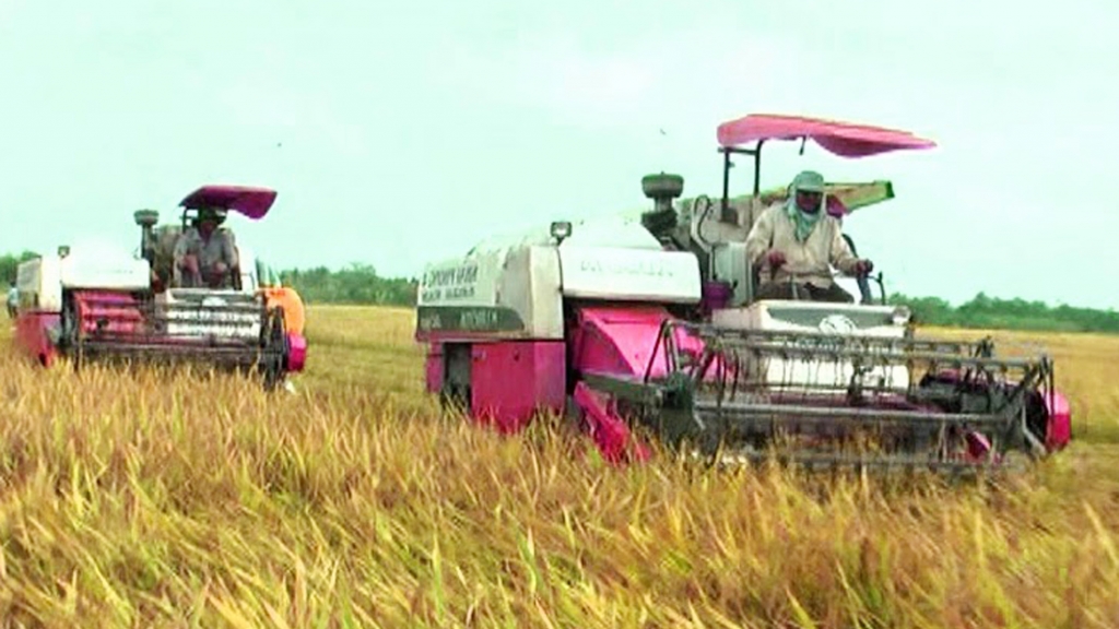 Huyện Kế Sách (Sóc Trăng): Chuyển đổi nông nghiệp hiệu quả, bền vững