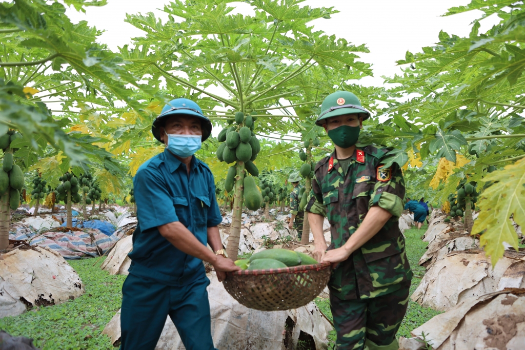 Triển lãm ảnh trực tuyến “Hà Nội - Những ngày không quên”