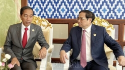 Thủ tướng Chính phủ Phạm Minh Chính hội đàm với Tổng thống Indonesia Joko Widodo