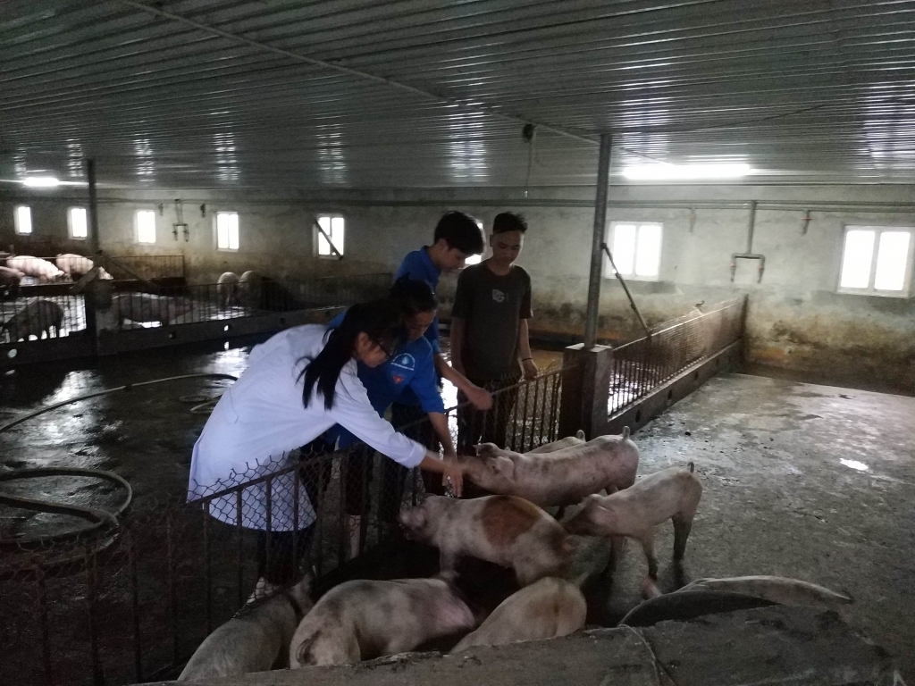Tuổi trẻ Thủ đô ra quân đội hình chuyên chuyển giao tiến bộ khoa học kỹ thuật cấp thành phố năm 2020