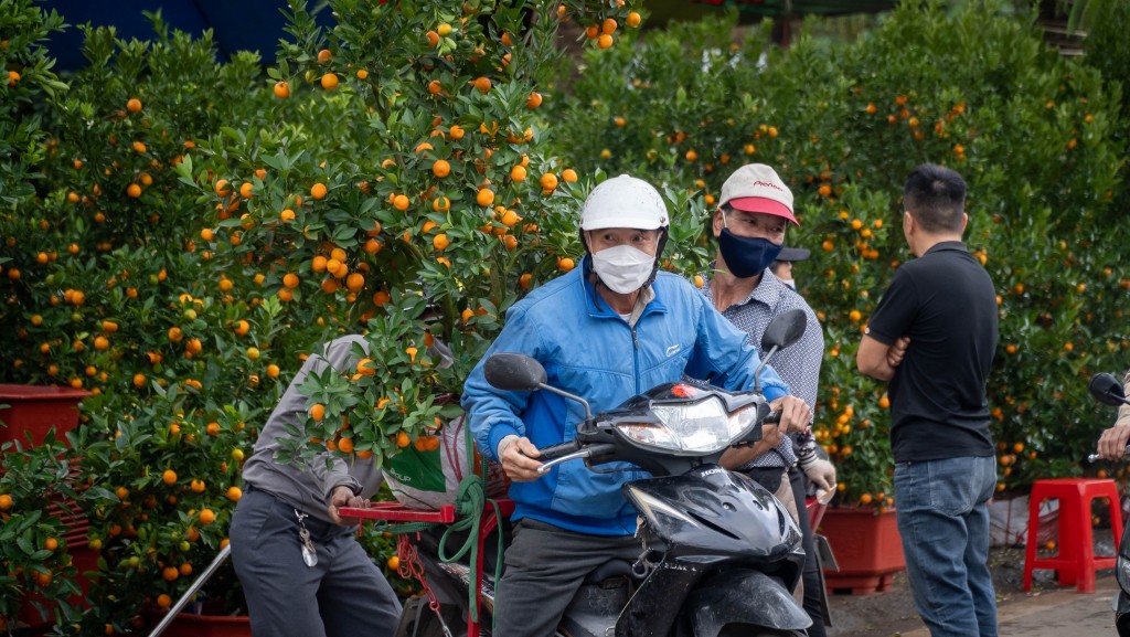 Chợ hoa xuân Hải Phòng nơi nhộn nhịp, nơi đìu hiu