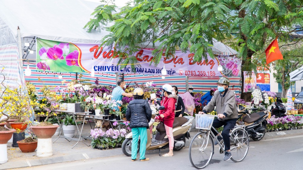 Vườn lan hồ điệp gần Cát Bi Plaza được nhiều người tới hỏi mua Vườn lan hồ điệp gần Cát Bi Plaza được nhiều người tới hỏi mua