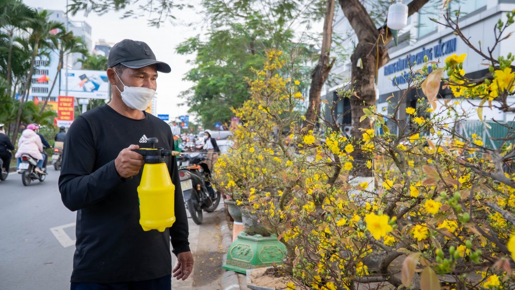 Chợ hoa xuân Hải Phòng nơi nhộn nhịp, nơi đìu hiu