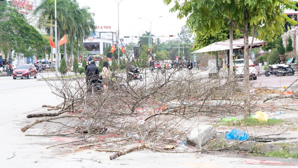 La liệt cành đào thải bị bỏ lại