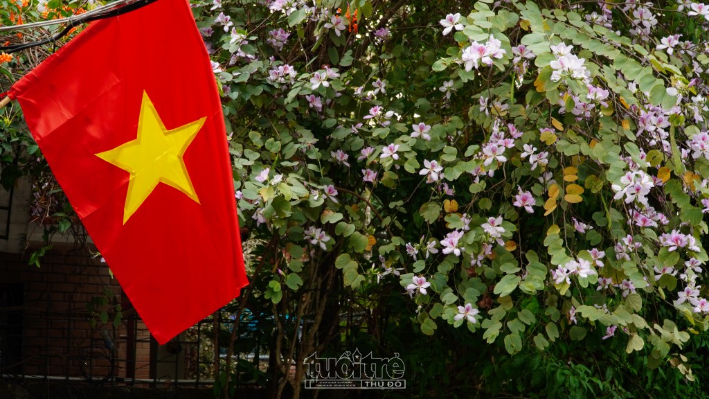 Hình ảnh lá cờ Tổ quốc bay phấp phới bên cánh hoa ban Tây Bắc tạo nên khung cảnh nên thơ khác lạ giữa lòng Hà Nội Hình ảnh lá cờ Tổ quốc bay phấp phới bên cánh hoa ban Tây Bắc tạo nên khung cảnh nên thơ khác lạ giữa lòng Hà Nội