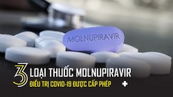 3 loại thuốc molnupiravir điều trị COVID-19 được cấp phép