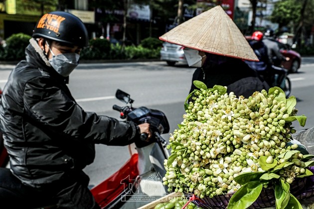 Năm nay do dịch bệnh, nhiều đền chùa, di tích đóng cửa, các lễ hội không tổ chức nên nhu cầu mua hoa cũng giảm đi đáng kể.