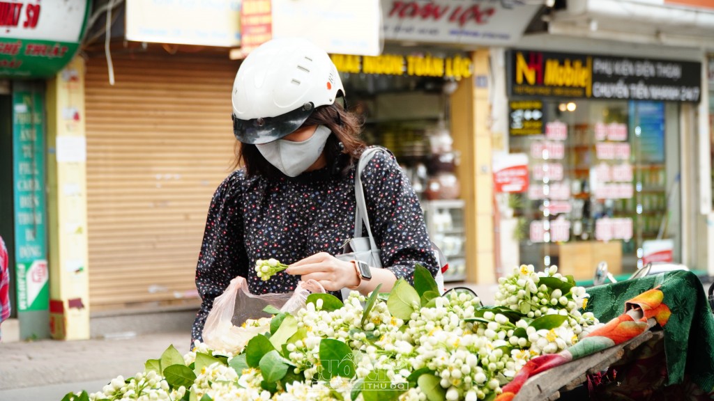 Hương bưởi nồng nàn giữa phố thị