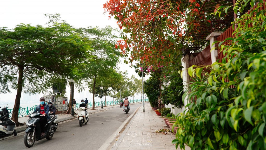 Sắc xanh non, sắc vàng, đỏ,... hòa quyện vào nhau tạo nên một cảnh sắc ít mùa nào trong năm có được