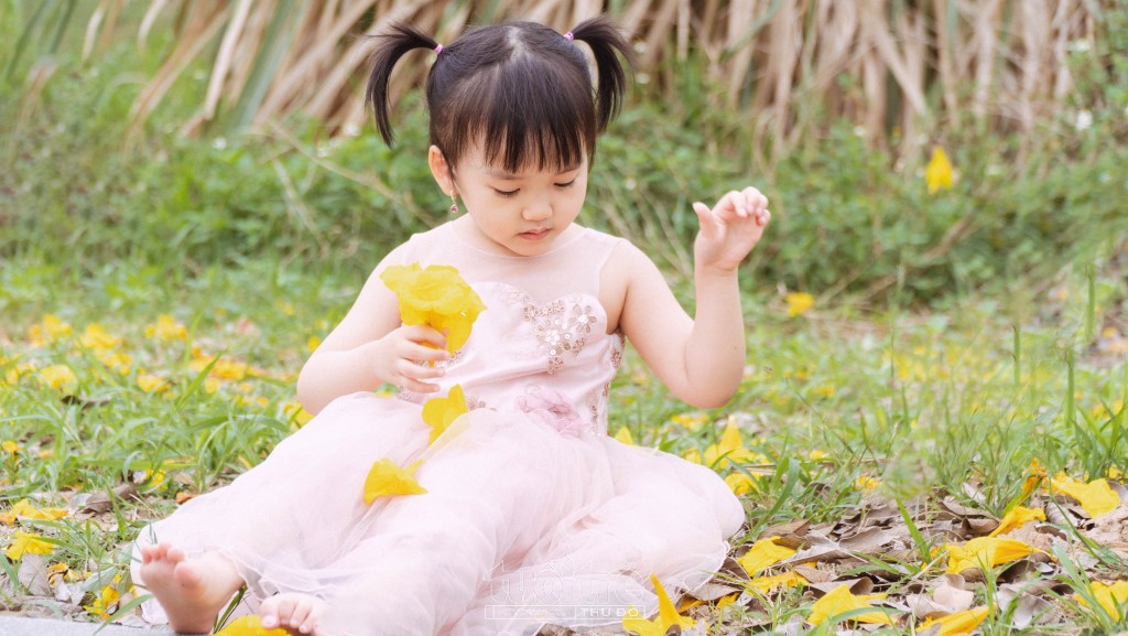 Các bạn nhỏ cũng thích thú vui đùa cùng những bông hoa phong linh lạ mắt Các bạn nhỏ cũng thích thú vui đùa cùng những bông hoa phong linh lạ mắt