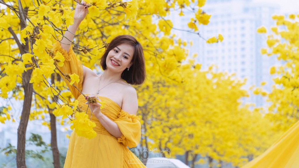 Vào mùa khô, cây sẽ rụng hết lá và bắt đầu nở hoa với màu vàng tươi sặc sỡ, trông rất đẹp mắt Vào mùa khô, cây sẽ rụng hết lá và bắt đầu nở hoa với màu vàng tươi sặc sỡ, trông rất đẹp mắt