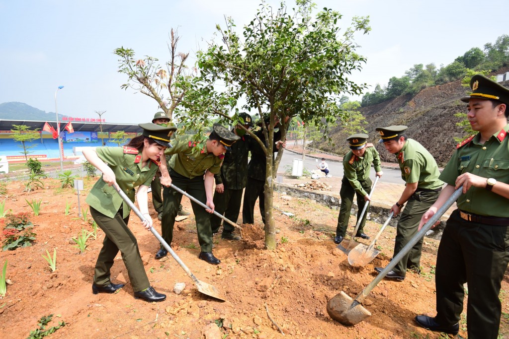 Các cây được trồng là những loại cây thuốc quý, cần thiết cho công tác chăm sóc sức khỏe cho cán bộ chiến sĩ