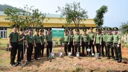 500 cây dược liệu phủ xanh đất trống Trung tâm Huấn luyện và Bồi dưỡng nghiệp vụ Cảnh vệ