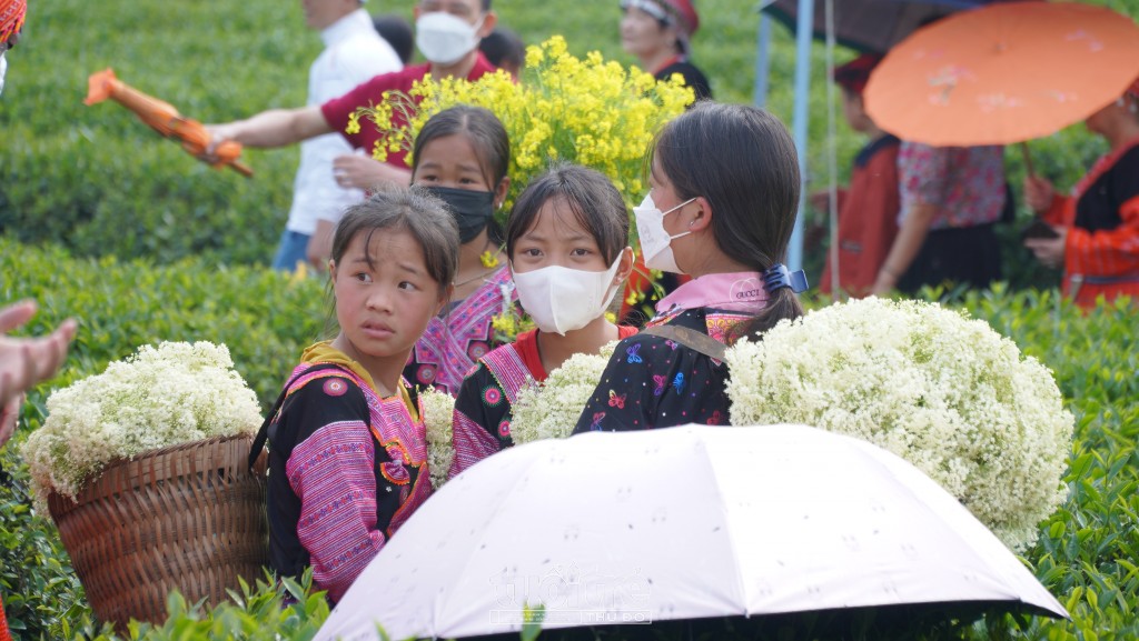 Trên lưng các em bé dân tộc là chiếc gùi nhỏ đựng đầy hoa trắng muốt