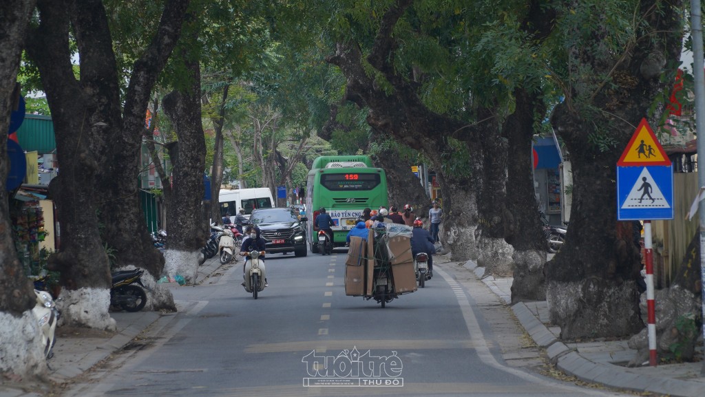 Những tán cây rộng che phủ cả con đường, ai đi qua đây cũng muốn con đường như kéo dài bất tận bởi không gian thoáng đãng và không khí tươi mát, không ồn ào khói bụi