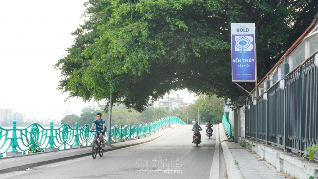 Bóng cây cổ thụ che phủ ngang con đường ven hồ Tây