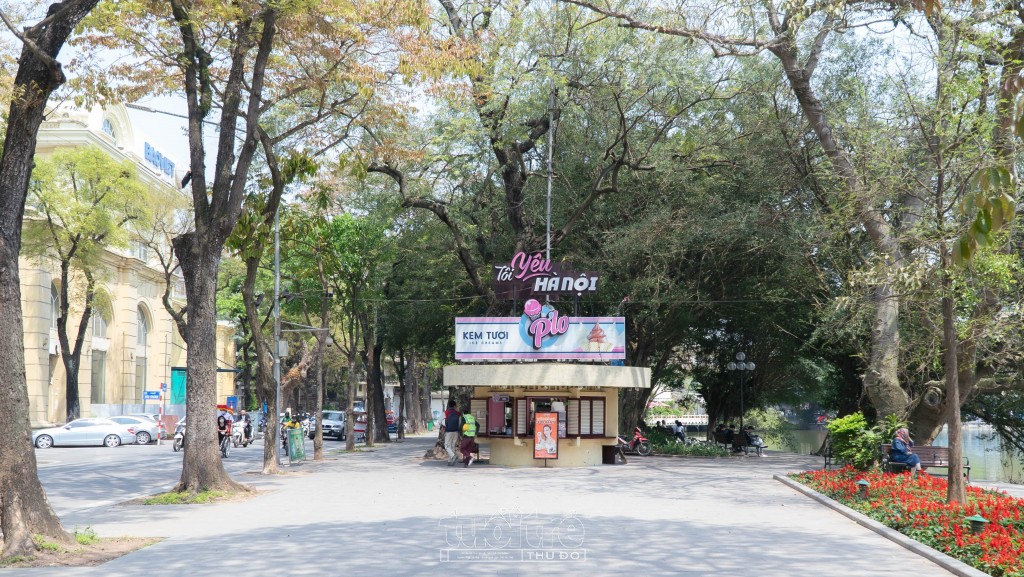 Những hàng cây thay màu lá chủ yếu là cây lộc vừng, xen lẫn những loại hoa khác như hoa ban, phong lá đỏ,...