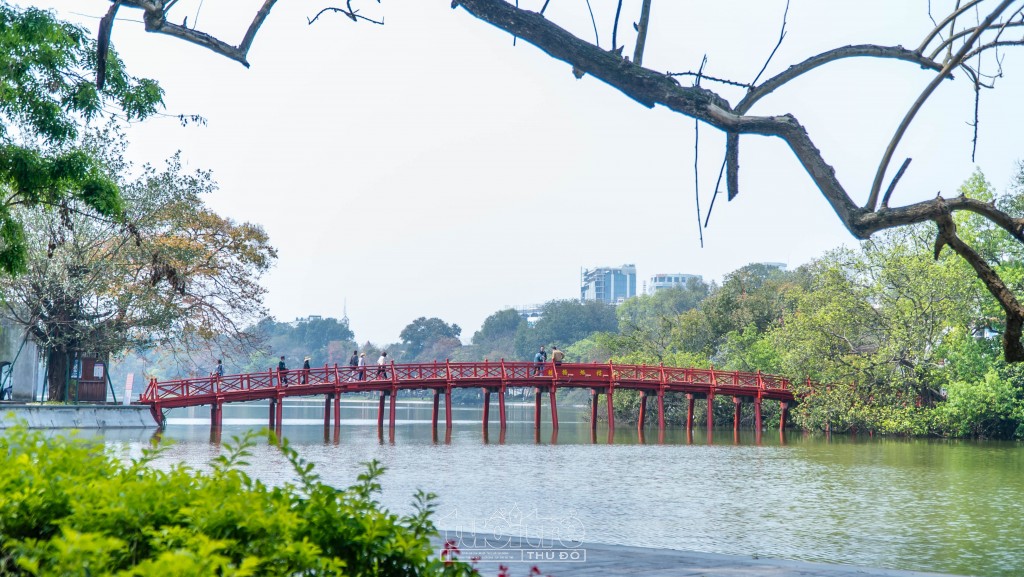 Những hàng cây thay lá tô điểm thêm những nét đẹp cho các công trình lịch sử tại đây