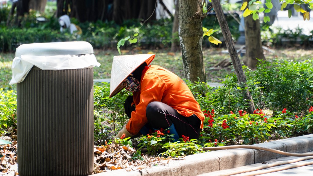 Từ cây lớn tới cây nhỏ đều được cắt tỉa, dọn dẹp cỏ dại để đảm bảo sự sinh trưởng tốt nhất