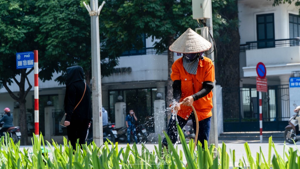 Lượng nước tưới cho từng khu vực cũng được tính toán, không để cây bị ngập úng