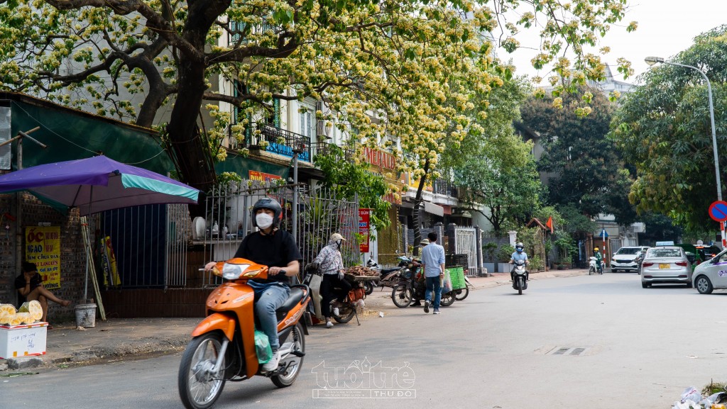 Cây trăm tuổi tỏa bóng mát cho nhiều người dừng chân nghỉ ngơi giữa trưa nắng