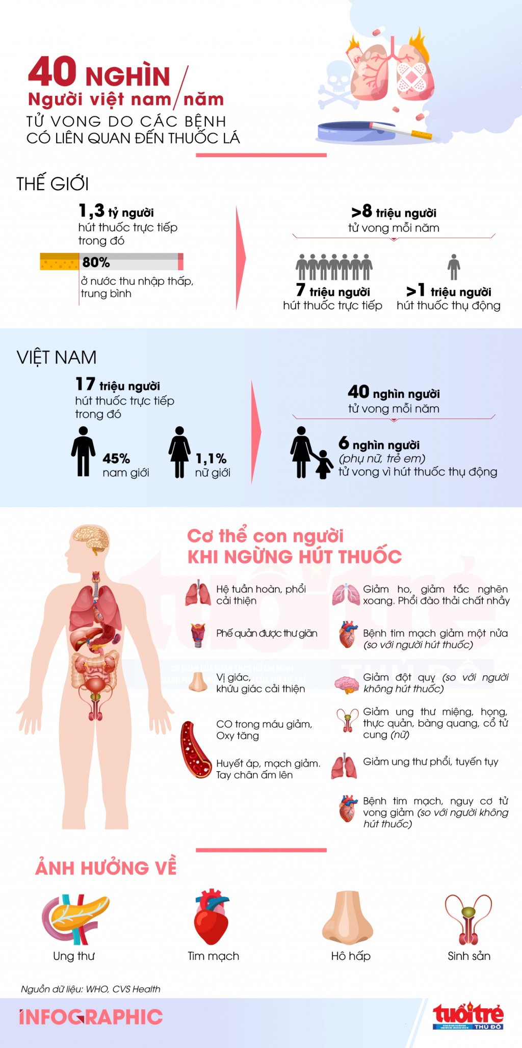 40 nghìn người Việt Nam tử vong mỗi năm vì các bệnh có liên quan đến thuốc lá